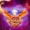 Phoenix Rises