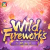 Wild Fireworks